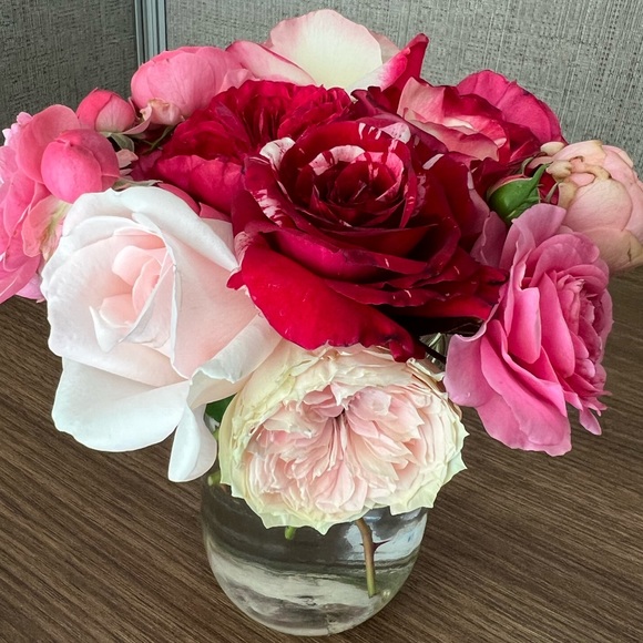 Meet your Posher, Andrea - Picture 1 of 3